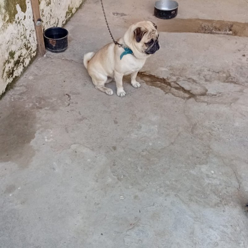 Julho
