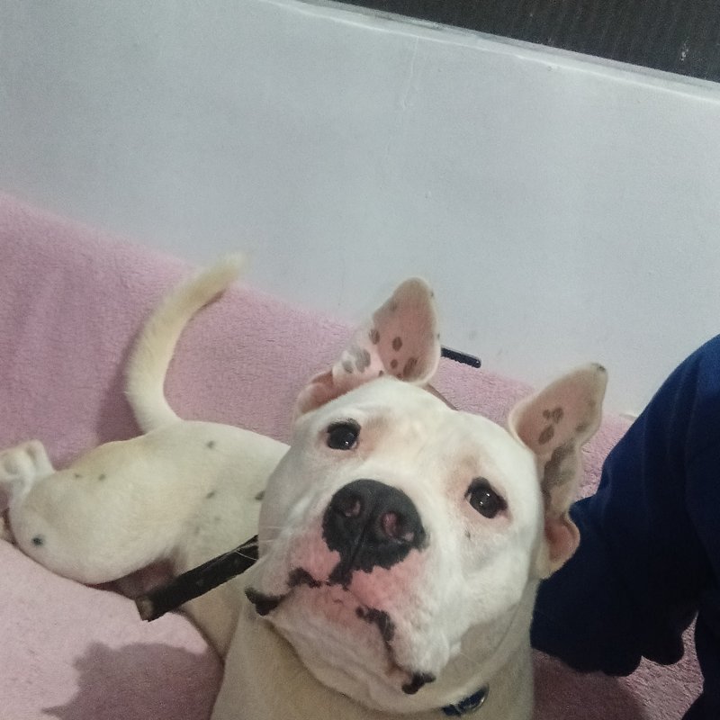 Zeus