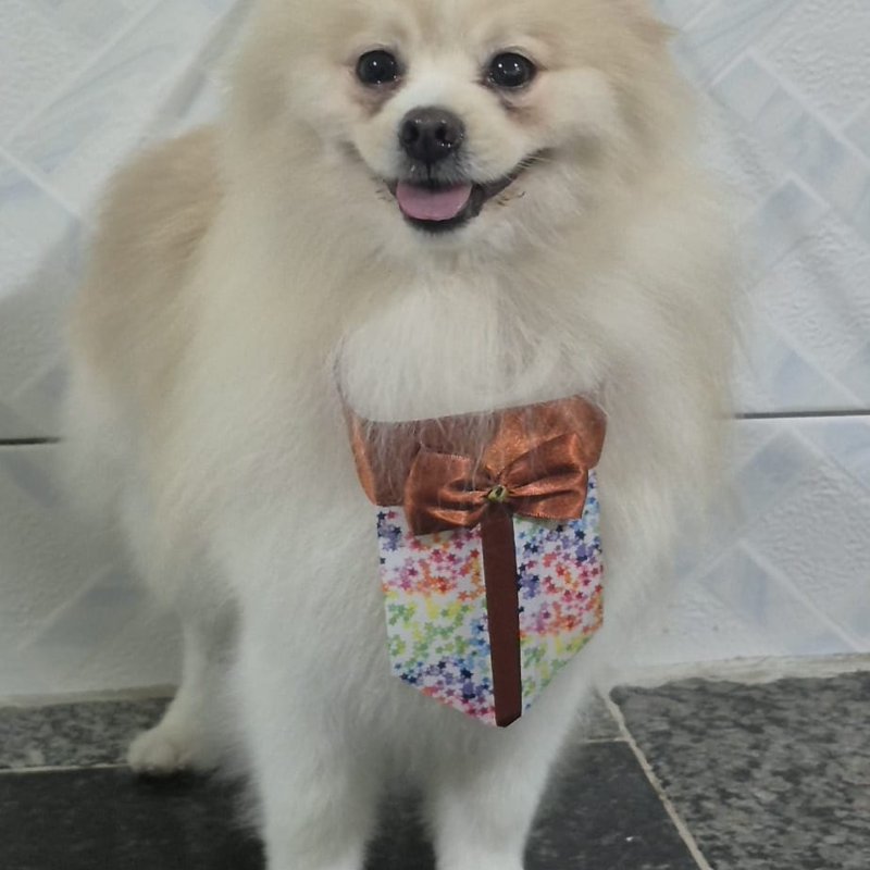 Pompom