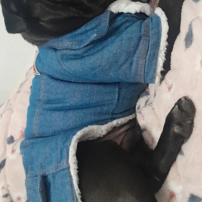 Sebastião