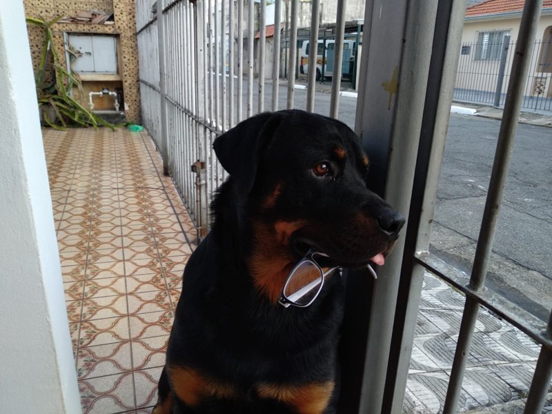 Duga