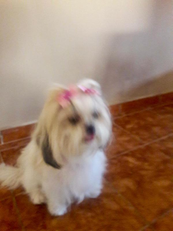 Penelope